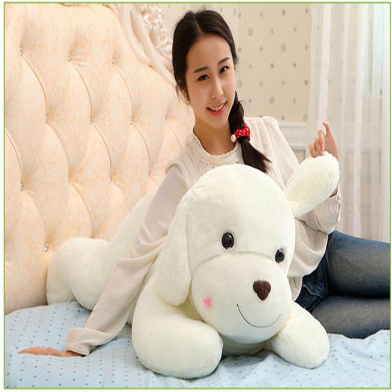 20a9b843540472efbb034982f50744b8